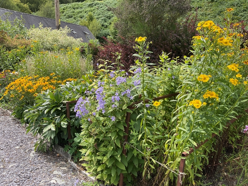 Aberangell Village Gardens